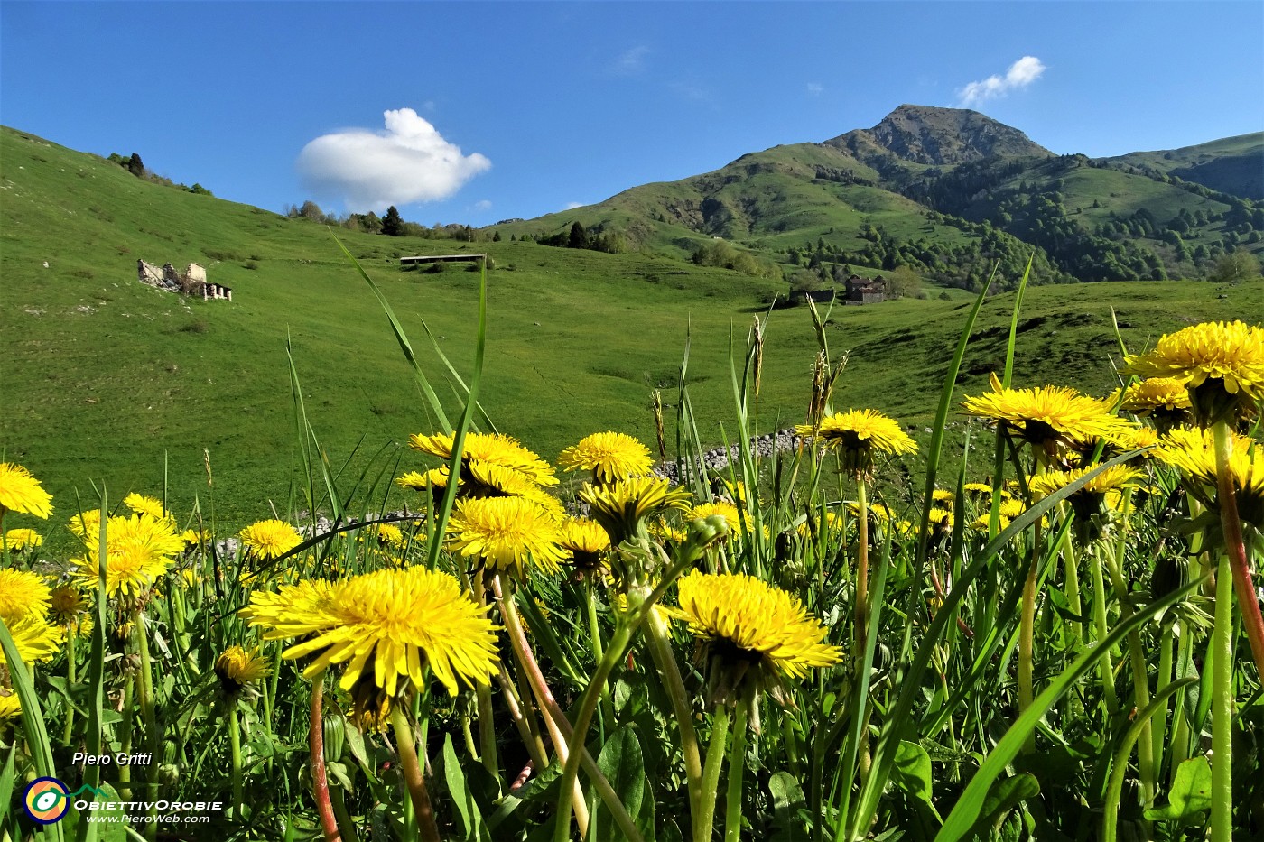 16 Prendiamo a destra il sent. 150 (non segnato qui) che scende e risale per verdi prati con vista in Sodadura.JPG